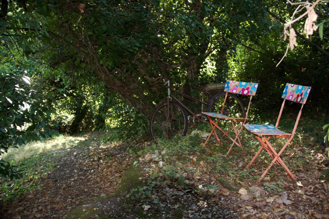 La Charentine Panzió Echillais Kültér fotó